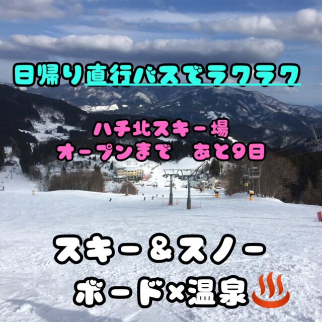 ハチ&ハチ北　平日大人1日券 ２枚セット ハチ・ハチ北リフトチケット 平日大人1日券 2枚セット ハチ北 リフト